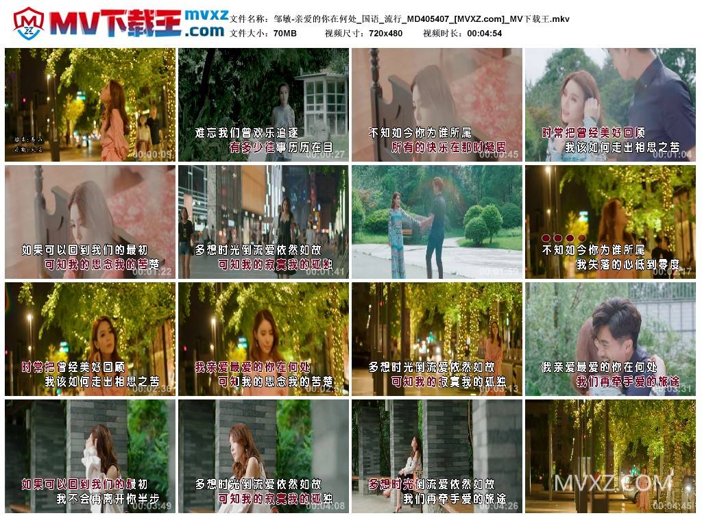 邹敏-亲爱的你在何处_国语_流行_MD405407